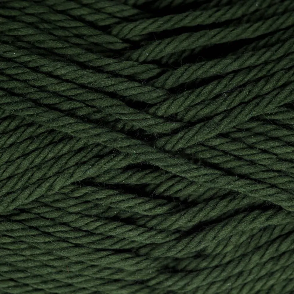 Příze Gazzal Giza 2463