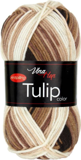 Příze Vlna Hep Tulip Color 5217